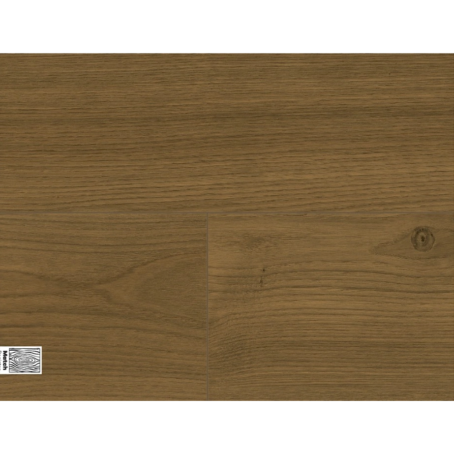 Laminuotos Grindys Laminuotos Grindys Orion Gold Glint 5099322 10 Mm Laminuotos Grindys Laminuotos Grindys Orion Gold Glint 5099322 10 Mm Smart Five Mb