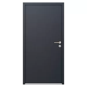 Lauko plieninės durys NBT56-07, antracitas