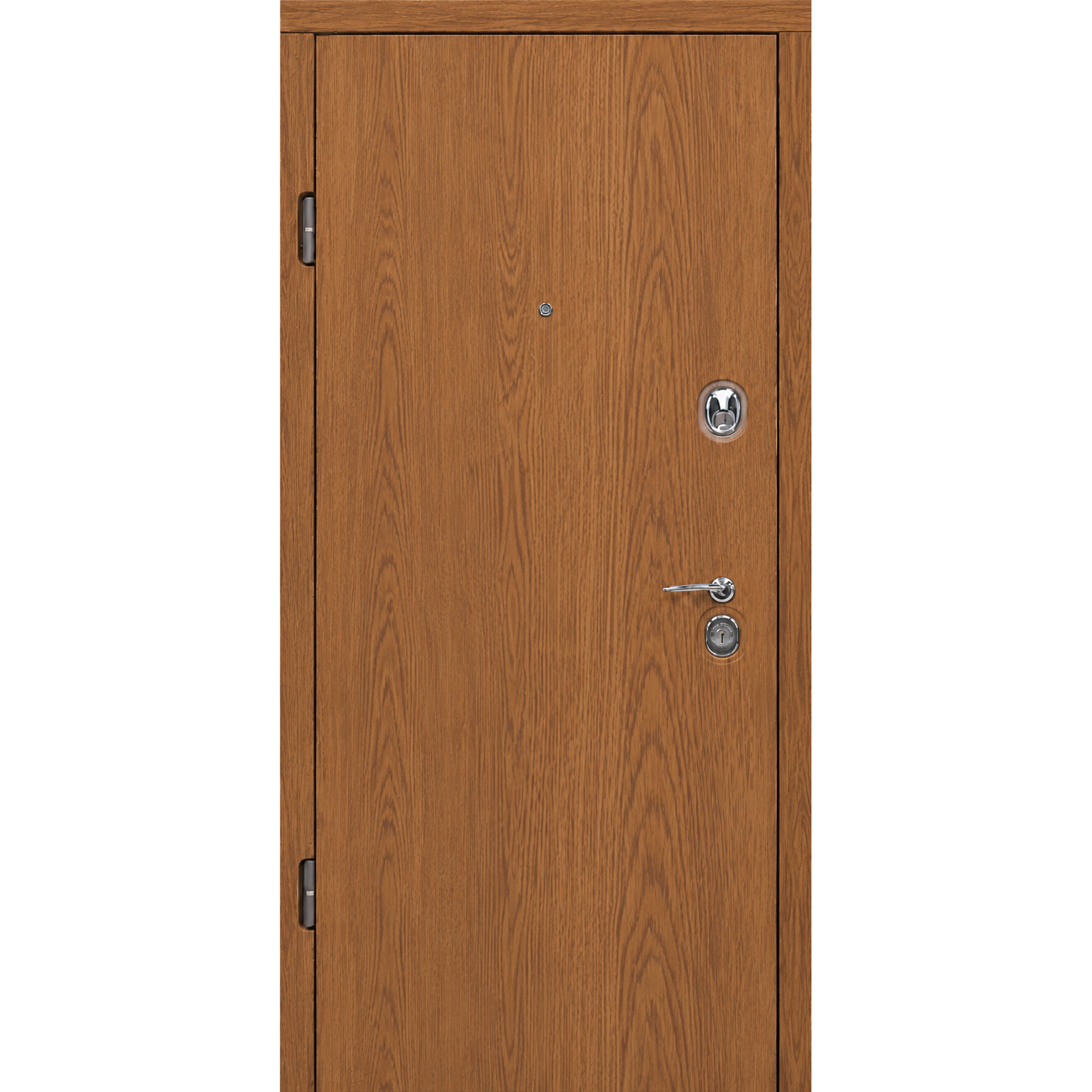 Buto durys TER-EURO STANDART-FULL Rustic Oak