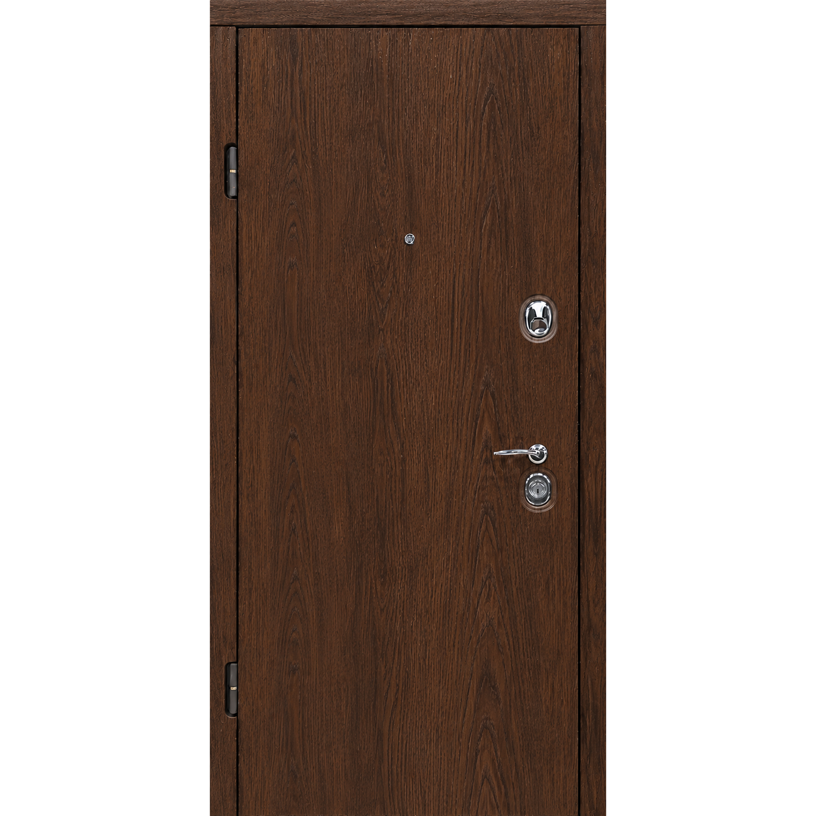 Buto durys TER-EURO STANDART-FULL Dark Oak