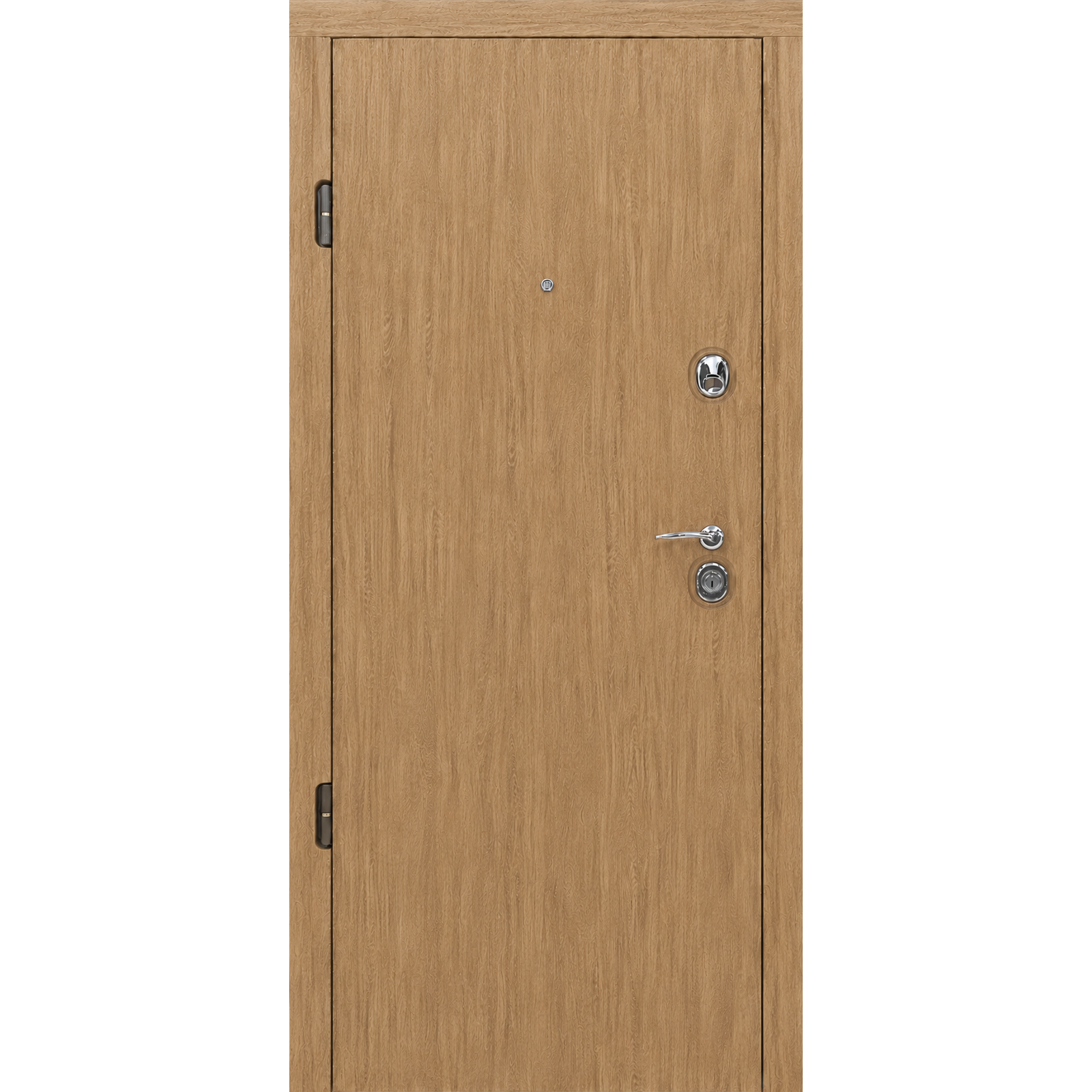 Buto durys TER-EURO STANDART-FULL Natural Oak