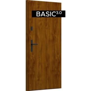 Wikęd Basic 3.0 26C lauko durys, auksinis ąžuolas, kairinės